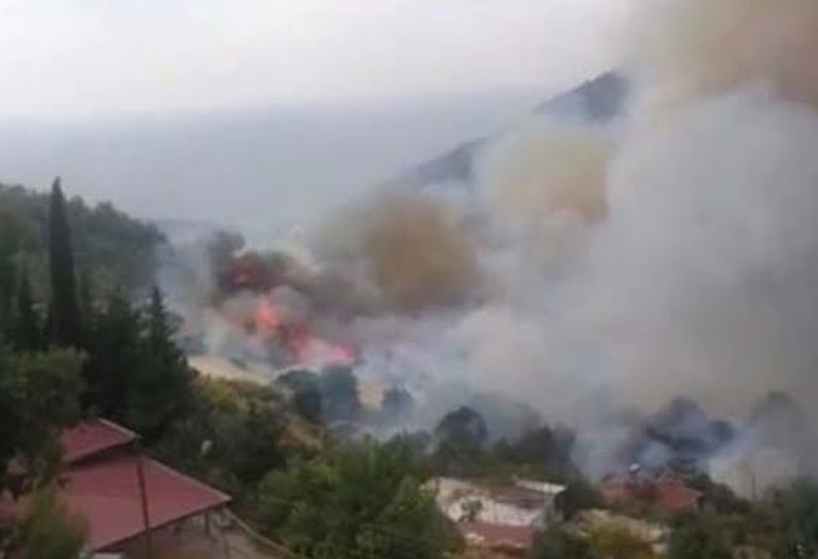 土耳其发生森林大火