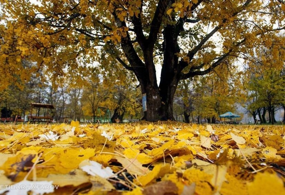 Oktyabrın sonuncu günündə ölkə ərazisində hava əsasən yağmursuz olacaq