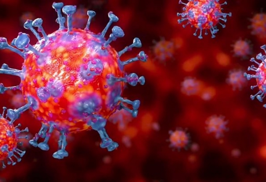Ötən həftə Azərbaycanda koronavirus infeksiyasına 4995 nəfər yoluxub