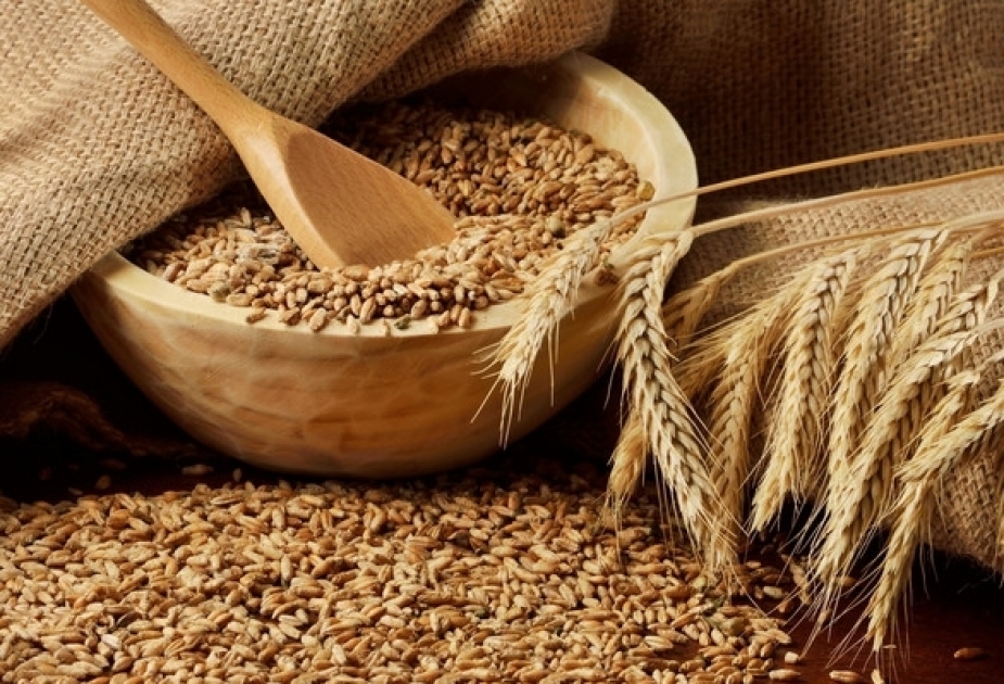 小麦进口量减少