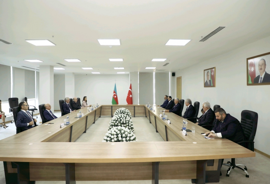 Baş Nazirin müavini Əli Əhmədov Türkiyənin sabiq Baş Naziri Binəli Yıldırımın rəhbərlik etdiyi nümayəndə heyəti ilə görüşüb