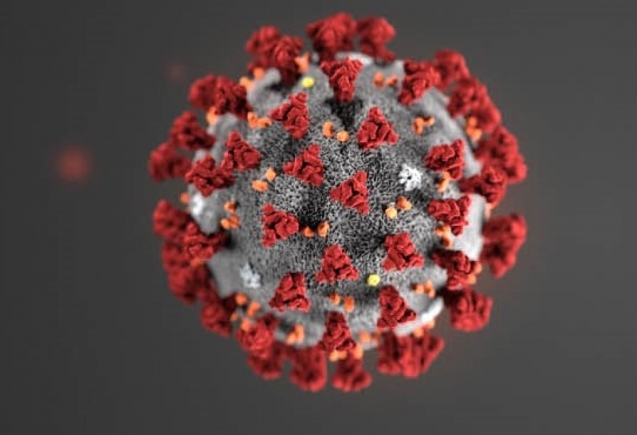 Mikrobioloqlar: Mutasiyaya uğramış SARS-CoV-2 virusu insandan insana daha asan keçir
