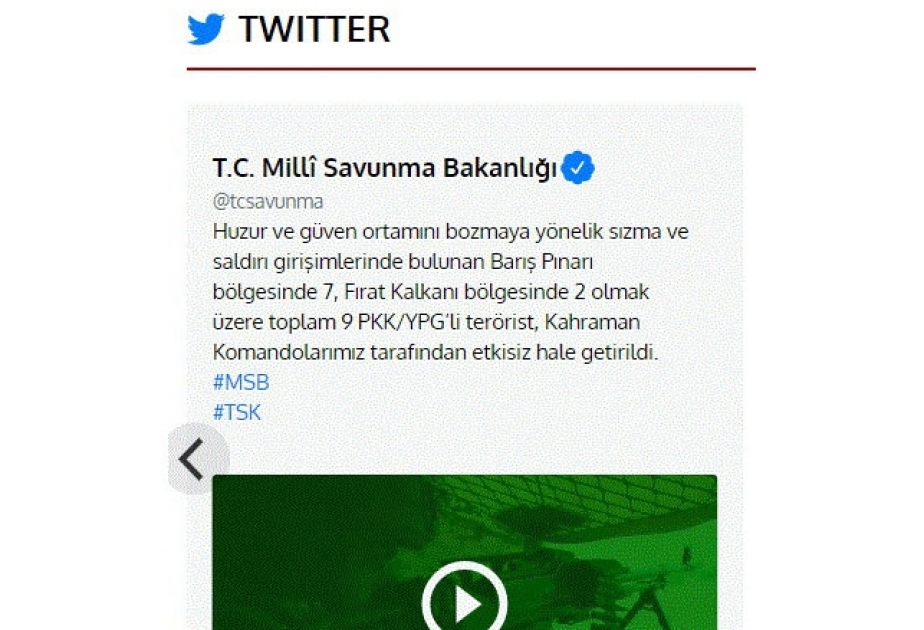 Türkiyə Ordusu daha 9 PKK/YPG terrorçusunu məhv edib