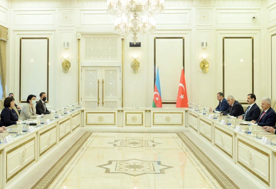 Председатель Милли Меджлиса Сахиба Гафарова встретилась с бывшим премьер-министром Турции Бинали Йылдырымом