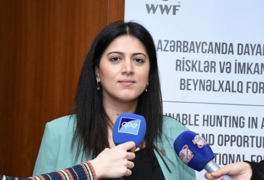 Сделано обращение в секретариаты международных конвенций для доведения до мировой общественности преступлений, совершенных армянскими сепаратистами