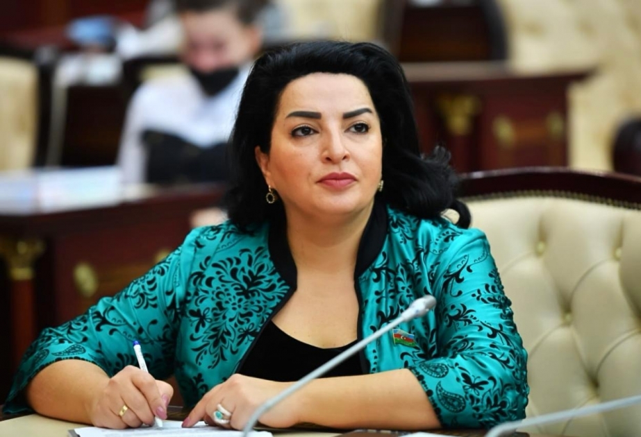 Deputat: Şanlı Azərbaycan Ordusu qarşısında dayana bilməyən Ermənistanın muzdlu dəstələrə ümid bəsləməsi əbəsdir
