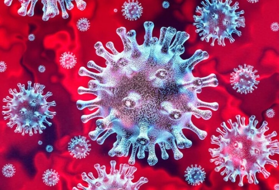 Alimlər koronavirusdan sağalmış insan orqanizmində antitelin qalma müddəti istiqamətində tədqiqatları davam etdirirlər