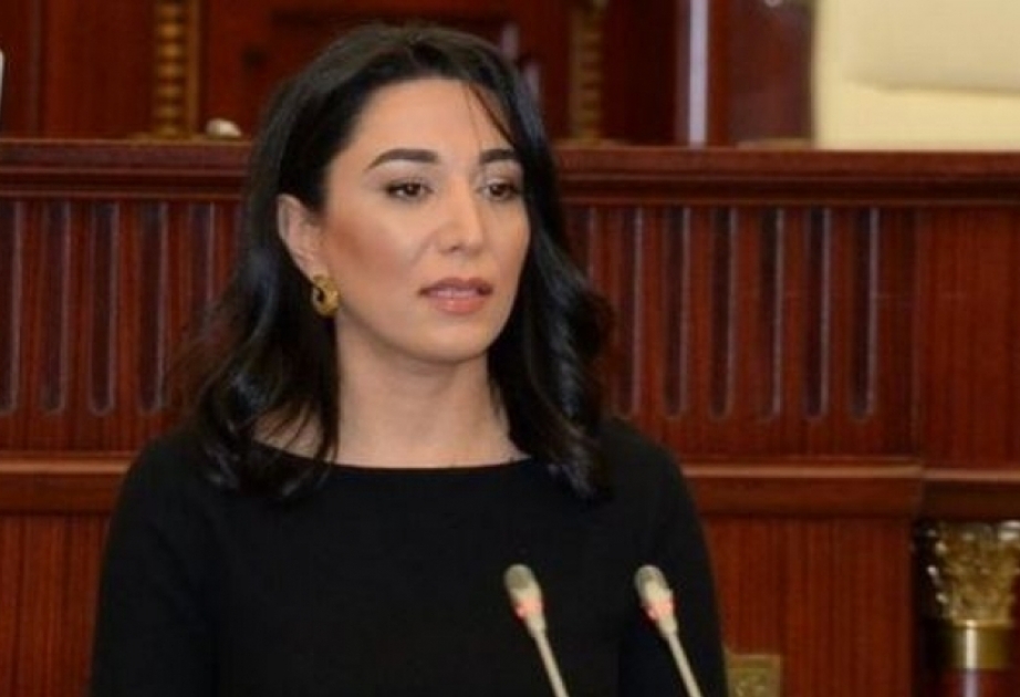 Azerbaijani Ombudsperson appeals to international organizations on eco-terrorism of Armenia in occupied Azerbaijani territories