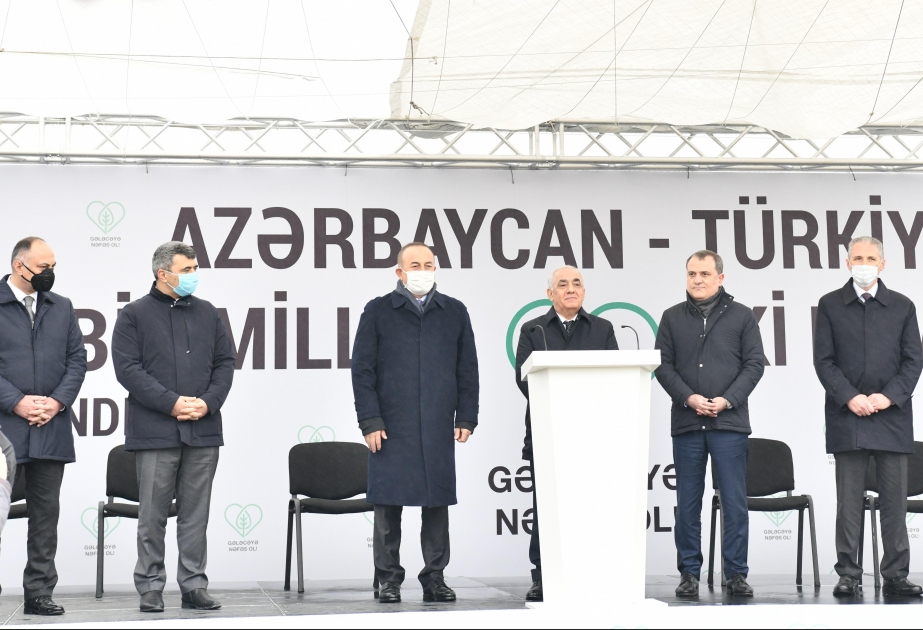 Baş nazir Əli Əsədov beynəlxalq ağacəkmə aksiyasında iştirak edib