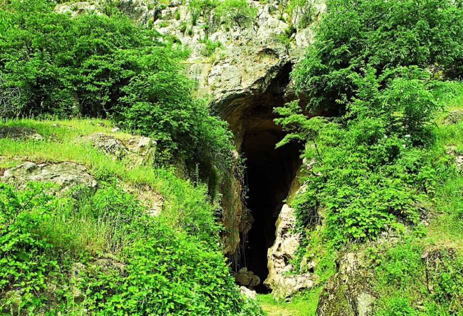 Azıx mağara düşərgəsində aparılmış qanunsuz arxeoloji qazıntı işlərinə hüquqi qiymət verilməlidir