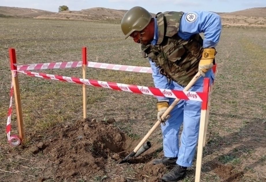 На прифронтовых территориях обнаружено и обезврежено большое количество неразорвавшихся боеприпасов