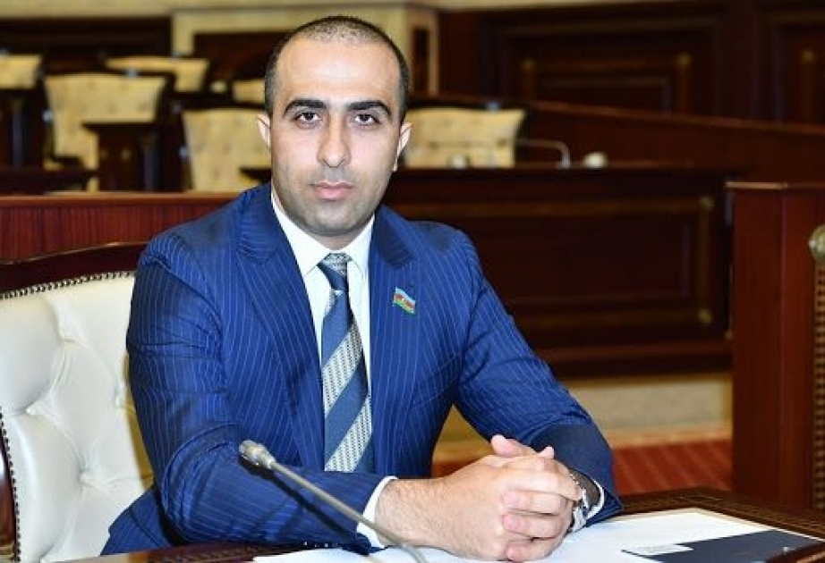 Deputat: Görünür, Soros həlqəsinin Qafqazda daralması, məhv olması Qələbəmizi həzm edə bilməyən bəzilərini isterikaya salıb