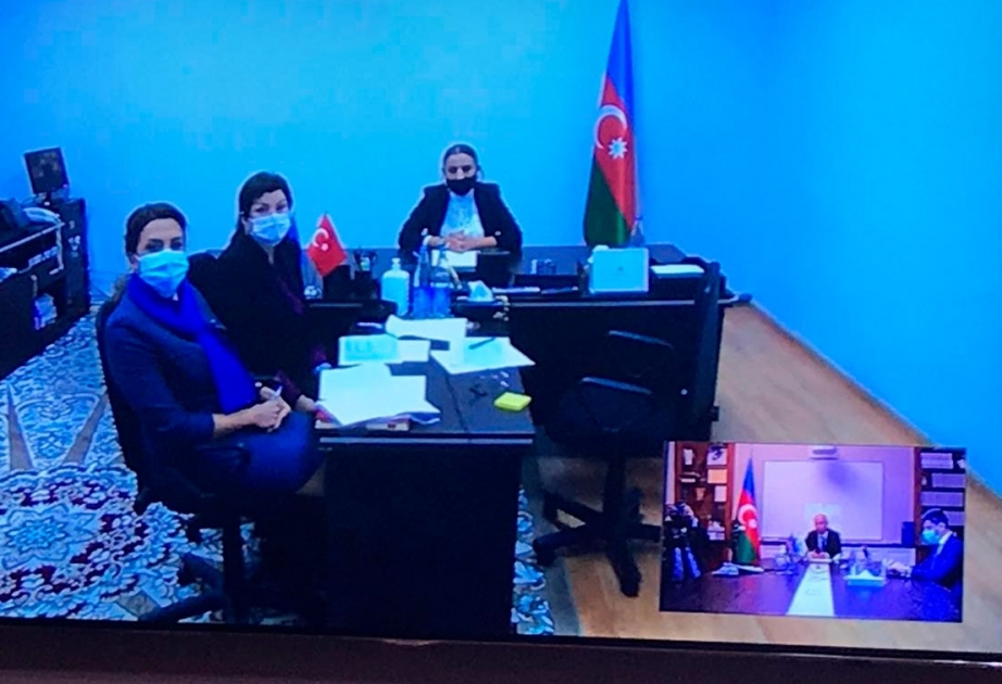 Təhsil naziri Abşeron rayon və Sumqayıt şəhər sakinlərini videobağlantı vasitəsilə qəbul edib