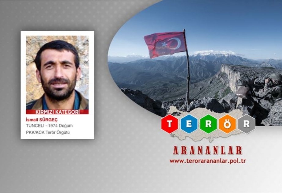 Türkiyədə daha bir PKK terrorçusu zərərsizləşdirilib