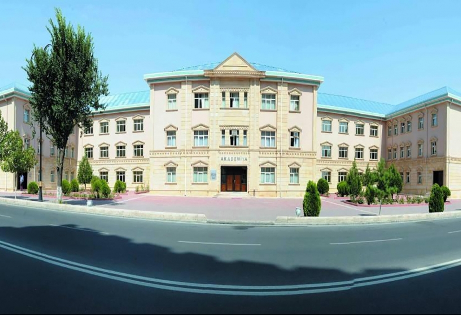 Beynəlxalq konfransda Naxçıvanın Eneolit mədəniyyətindən bəhs edilib