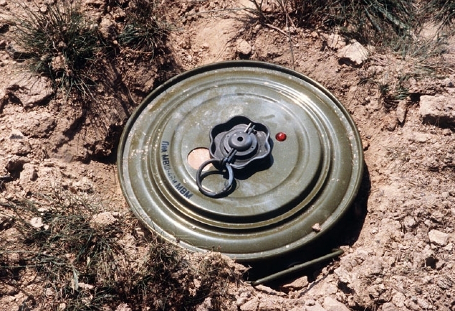 Из двух братьев, подорвавшихся на мине в Физулинском районе, один погиб, другой тяжело ранен