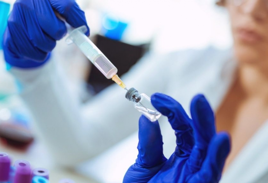 В Дании завершаются разработки новой вакцины, доказавшей свою эффективность против мутировавшего штамма коронавируса у норок