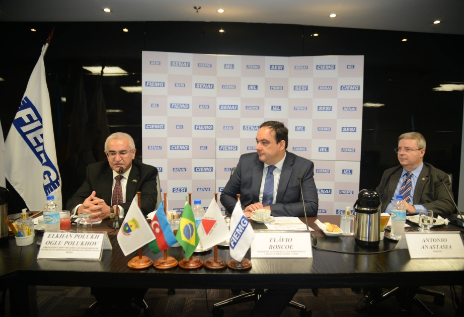 Azərbaycan səfirinin Braziliyanın Gerais ştatında keçirdiyi görüşlərdə əməkdaşlığa dair məsələlər müzakirə olunub