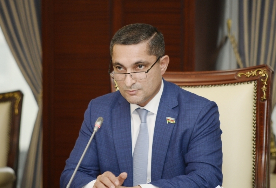 Soltan Məmmədov: Fransa kimi bir ölkənin xarici siyasətinin erməni lobbisinin təsirinə məruz qalması təəssüf doğurur