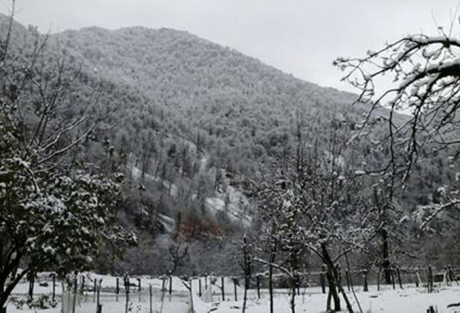 Lerik və Yardımlı rayonlarının yüksək dağlıq ərazilərinə qar yağıb