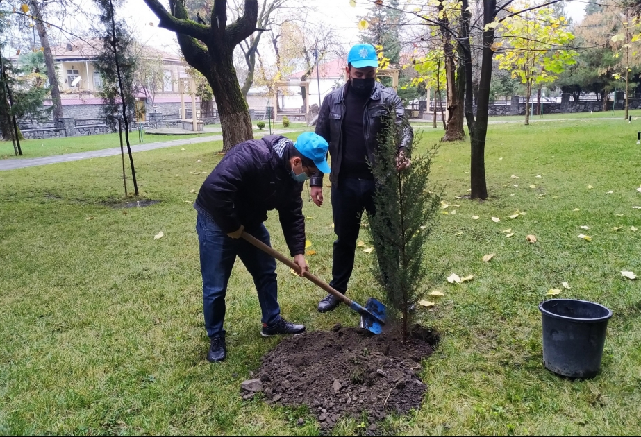 YAP Qax rayon təşkilatının üzvləri ağacəkmə aksiyasına qoşulublar
