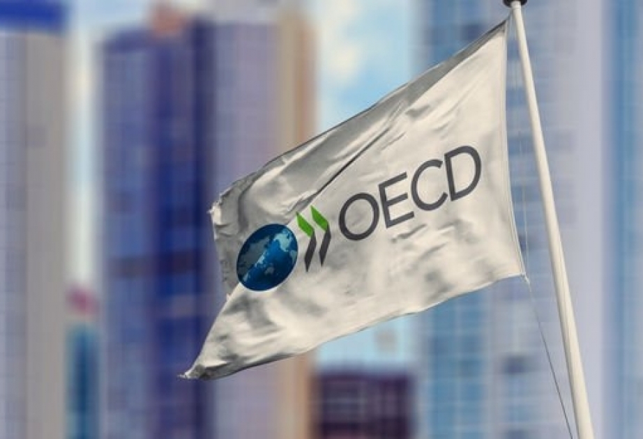 OECD: Pandemiyanın zərəri ötən bir neçə ayda deyil, qarşıdakı aylarda müşahidə ediləcək