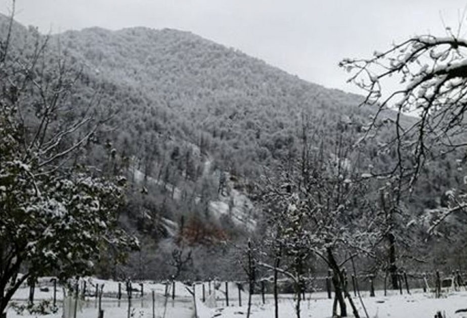 列里克和亚尔德姆雷山区降雪