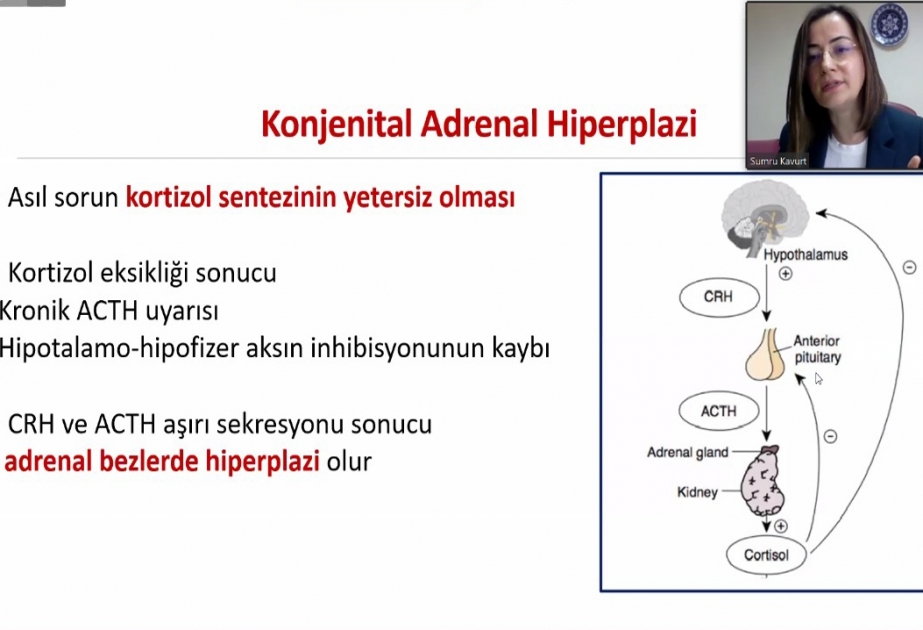 “Neonatologiyada yeniliklər-2020” adlı beynəlxalq konqres keçirilib