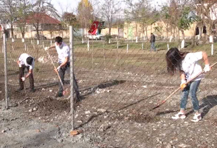Şəhidlərin xatirəsinə ağacəkmə aksiyası keçirilib