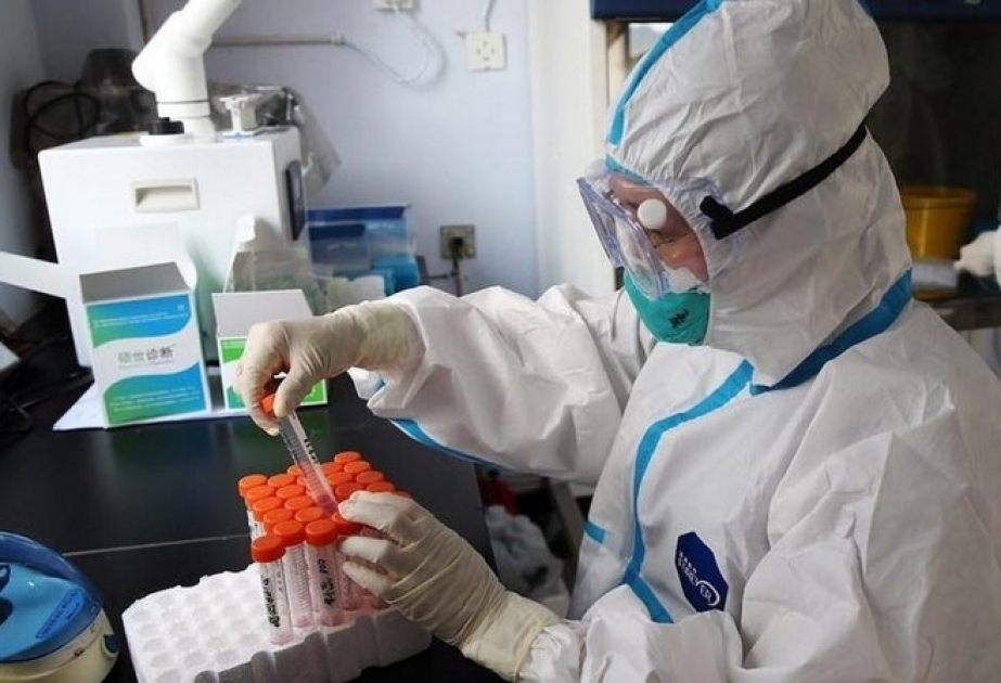 В Грузии продолжает расти число инфицированных и летальных исходов от коронавируса