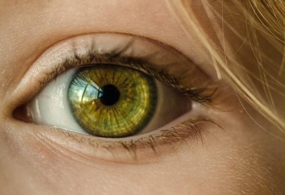 Ученые нашли связь между цветом глаз и предрасположенностью к болезням