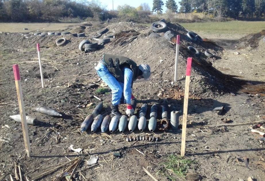 ANAMA encontró minas y "bombas" en las áreas de primera línea