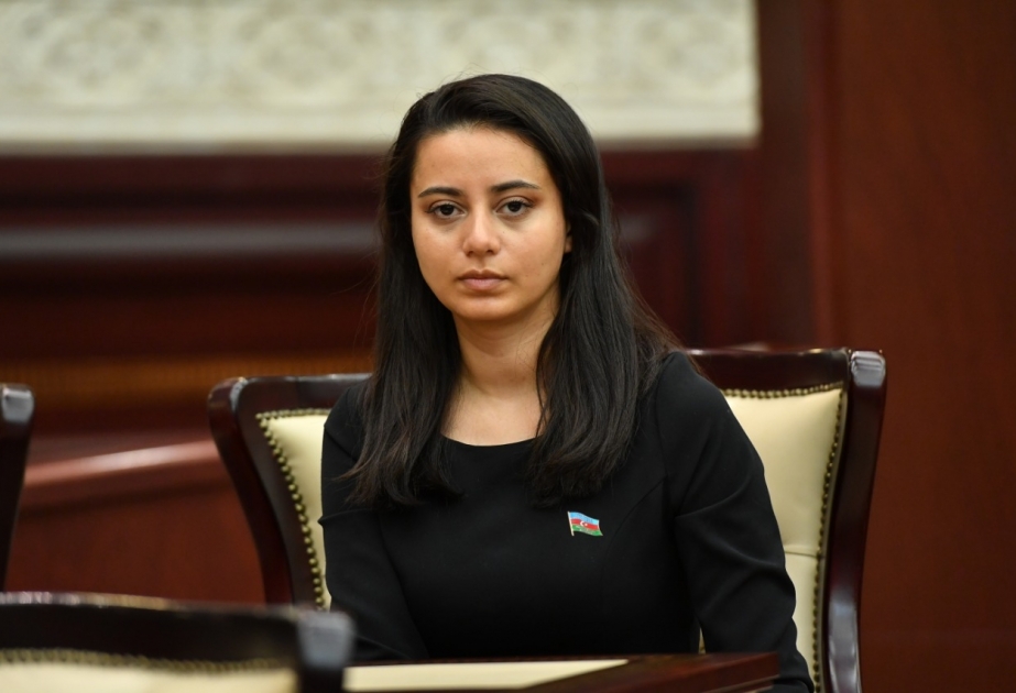 Senatın qərəzli qətnaməsi Fransa adına böyük rüsvayçılıq və qara ləkədir
