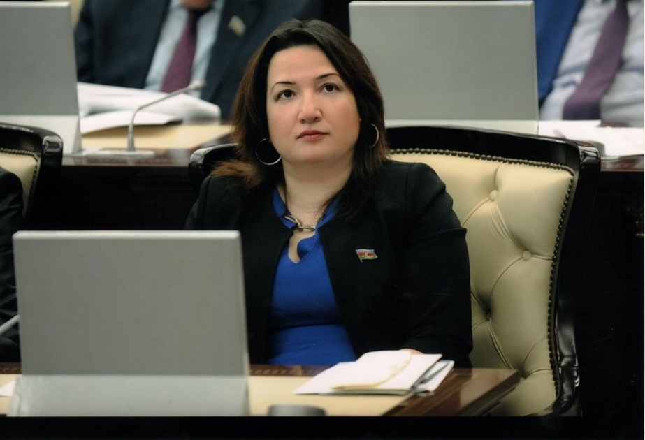 Fransa Senatının absurd qətnaməsi beynəlxalq hüququ heçə saymağın əyani sübutudur