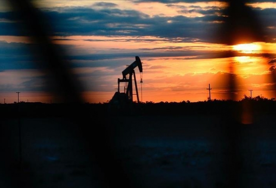 OPEC Konfransının prezidenti: Bu ildə qlobal neft tələbatının sutkada 9,8 milyon barrel azalacağı gözlənilir