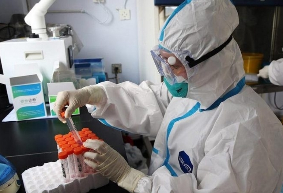 Coronavirus in Georgien: Zahl der Neuinfektionen steigt weiter an