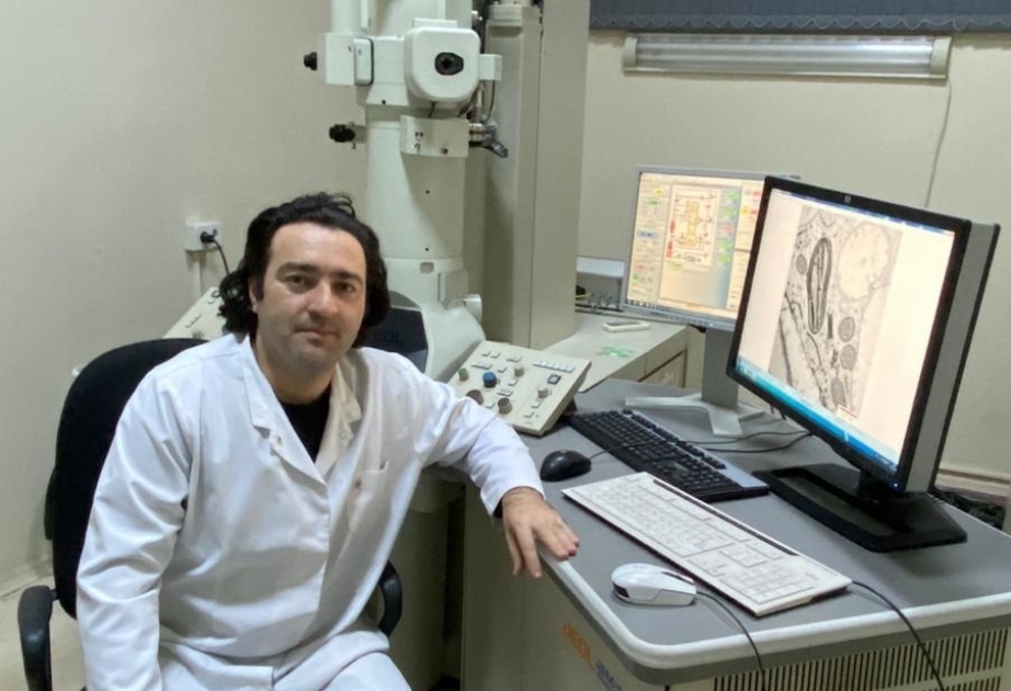 Zooloq alimin məqalələri yüksək impakt faktorlu jurnallarda dərc edilib