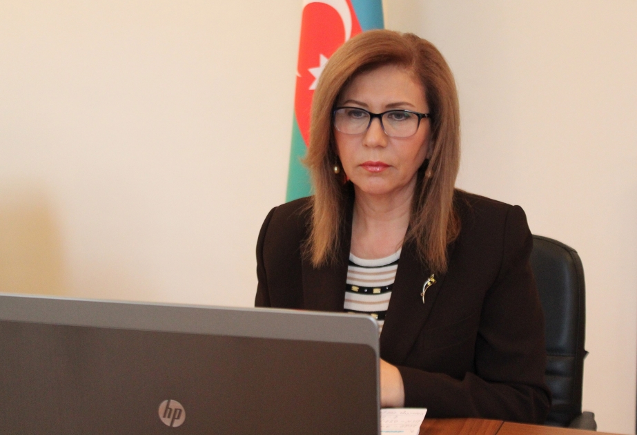 “Sahibkarlığa və məşğulluğa iqtisadi dəstək” layihəsi çərçivəsində vebinar keçirilib