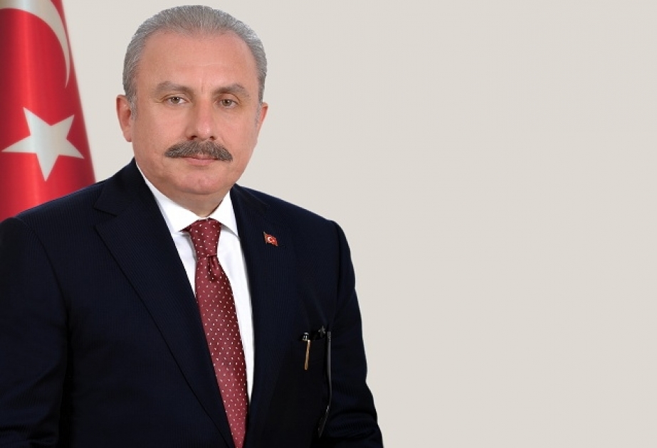Mustafa Şentop: Fransa Milli Assambleyası ciddiliyini itirib