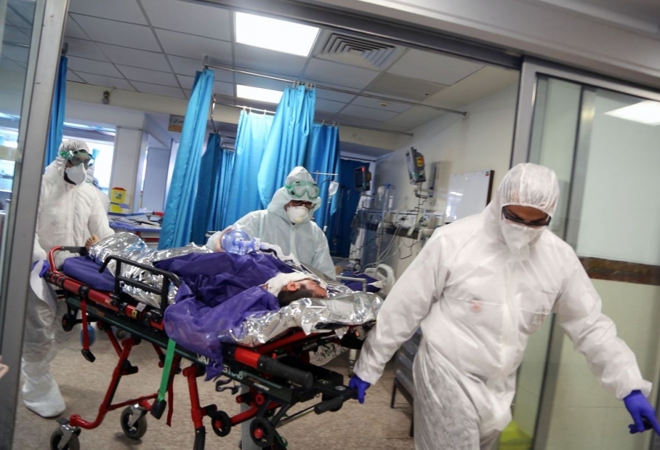 Almaniyada pandemiya qurbanlarının xatirə gününün təsis edilməsi təklif olunur