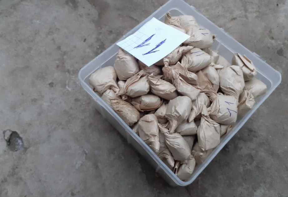 Gəncədə külli miqdarda narkotik vasitə dövriyyədən çıxarılıb