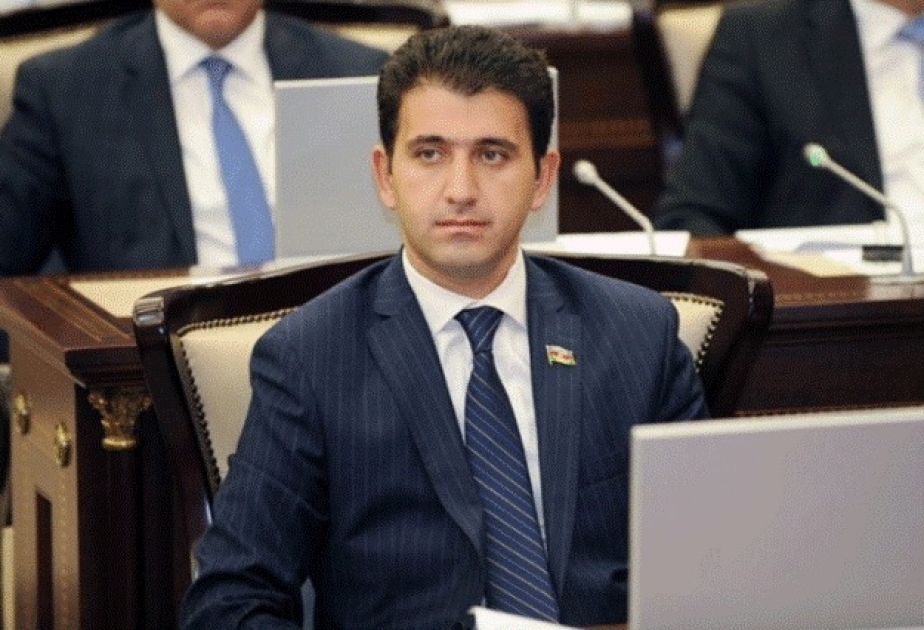 Naqif Həmzəyev: İtaliya Azərbaycanın əsl dostu olduğunu göstərdi