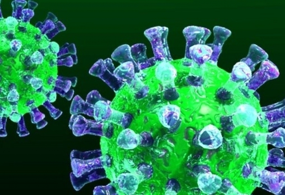 巴库的比纳盖迪区新冠病毒感染病例最多
