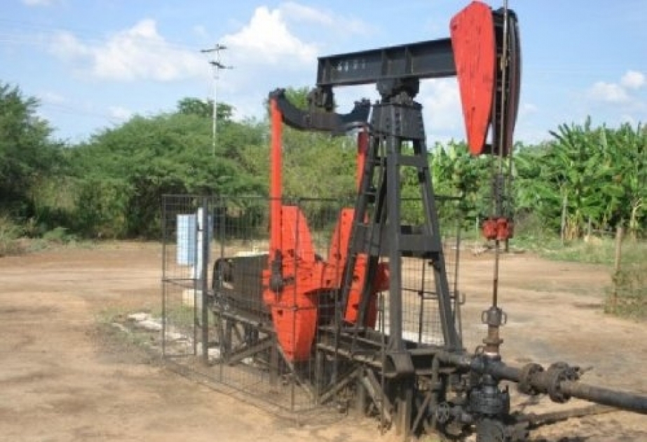 Bu il ABŞ-ın gündəlik neft hasilatı 11,3 milyon barrel olacaq