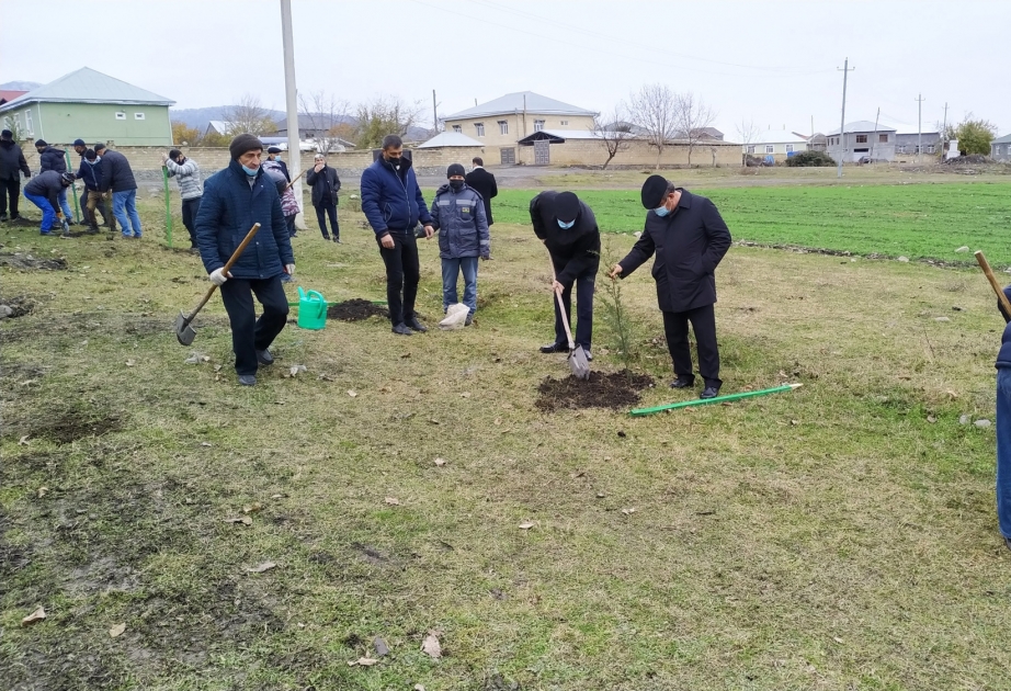 Ulu Öndərin anım günü ilə əlaqədar Qaxda ağacəkmə aksiyası keçirilib