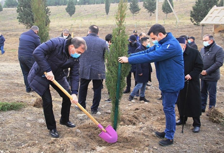 Gəncədə Vətən müharibəsi şəhidlərinin xatirəsinə 2783 ağac əkilib