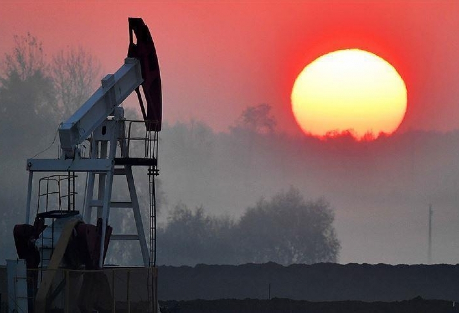 OPEC Konfransının prezidenti: Neft hasilatının artımı ehtiyat tələb edir