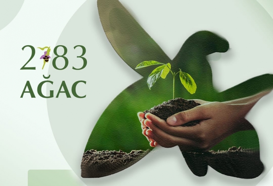 Aqrar İnkişaf Könüllüləri ağacəkmə kampaniyasına başlayır