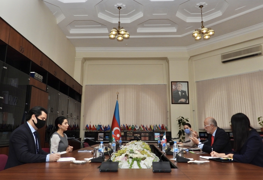 Se debatieron cuestiones relacionadas con la cooperación entre las instituciones del ombudsman de Azerbaiyán y México