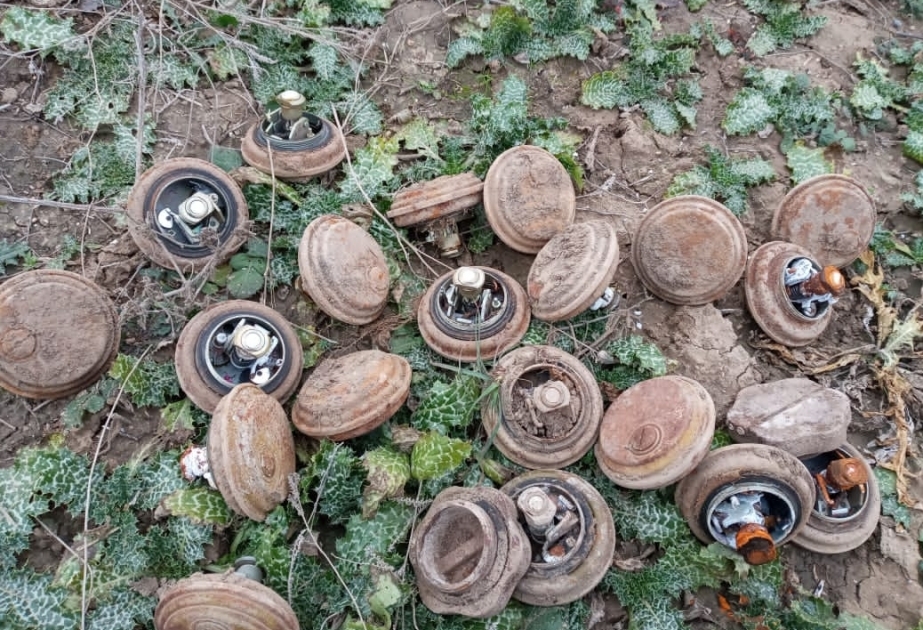 ANAMA detecta una cantidad importante de minas y artefactos explosivos sin detonar en los territorios liberados